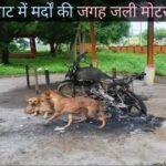 20240801 132035 News E 7 Live