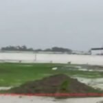 20240804 142915 News E 7 Live