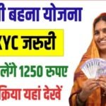 20240810 205937 News E 7 Live