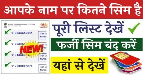 20240816 211205 News E 7 Live
