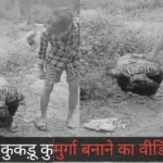 20240831 104546 News E 7 Live