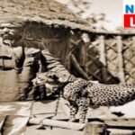 20241004 180718 News E 7 Live