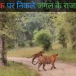 20241009 105915 News E 7 Live