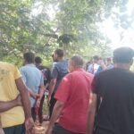 IMG 20241010 WA0006 News E 7 Live
