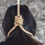 IMG 20241022 135609 News E 7 Live