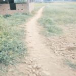 IMG 20241024 075917 News E 7 Live