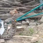 IMG 20241105 WA0005 768x436 1 News E 7 Live