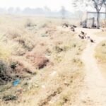 Sidhi news:बाइक रैली के माध्यम से विधिक सेवाओं से लोगों को किया गया जागरूक IMG 20241105 074519 News E 7 Live