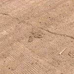 IMG 20241110 195837 News E 7 Live
