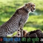 20241226 095855 News E 7 Live