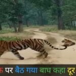 20250121 173916 News E 7 Live