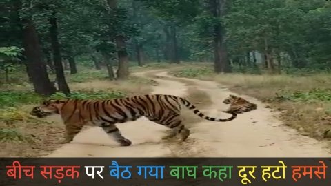 20250121 173916 News E 7 Live