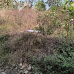 IMG 20250115 WA0003 News E 7 Live