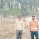 IMG 20250101 114407 News E 7 Live