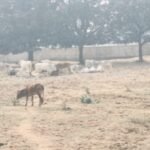 IMG 20250102 084349 News E 7 Live