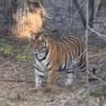 IMG 20250108 182907 News E 7 Live