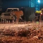 IMG 20250115 103021 News E 7 Live