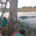 IMG 20250227 WA0002 News E 7 Live