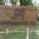 IMG 20250108 112124 News E 7 Live
