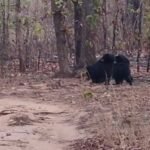 IMG 20250509 WA0004 1 News E 7 Live