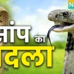 20250621 150825 News E 7 Live