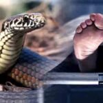 Woman dies due to snake bite FIR filed for murder by poisoning police engaged in investigation News E 7 Live