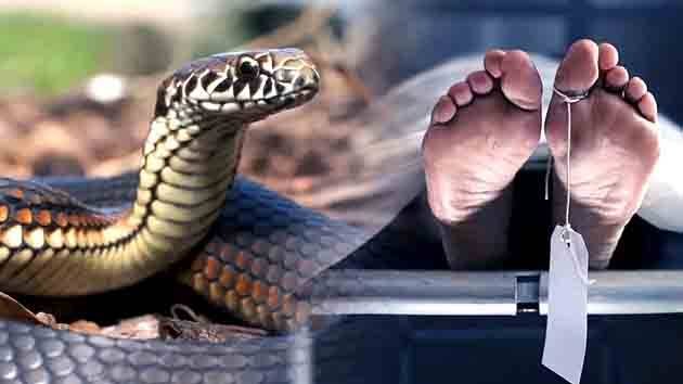 Woman dies due to snake bite FIR filed for murder by poisoning police engaged in investigation News E 7 Live