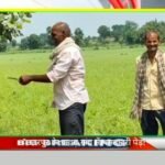 20250809 112120 News E 7 Live