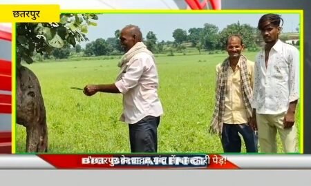 20250809 112120 News E 7 Live
