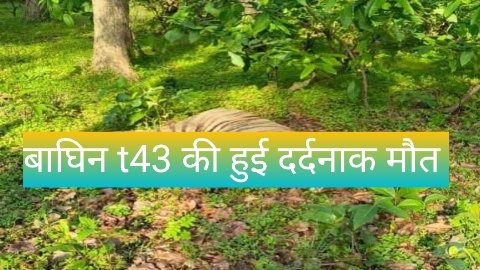 20250819 231537 News E 7 Live