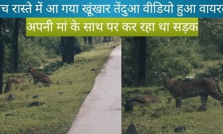 20250909 154542 News E 7 Live