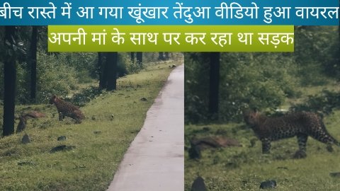 20250909 154542 News E 7 Live