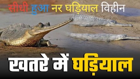 20250911 104811 News E 7 Live