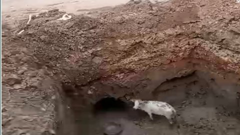 20250929 165534 News E 7 Live