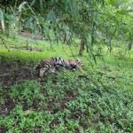 IMG 20250919 WA0067 News E 7 Live