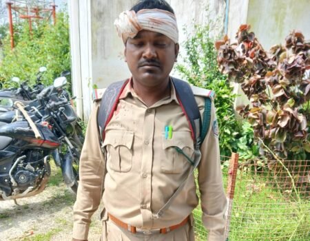 IMG 20250927 161319 News E 7 Live