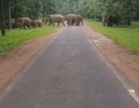 Screenshot 20250918 223808 News E 7 Live