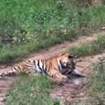 20251012 115726 News E 7 Live