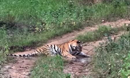 20251012 115726 News E 7 Live