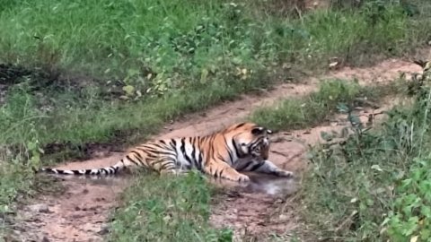 20251012 115726 News E 7 Live