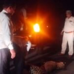 20251012 202029 News E 7 Live