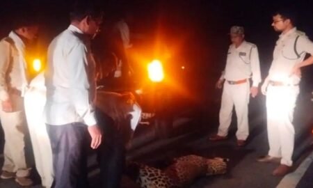 20251012 202029 News E 7 Live