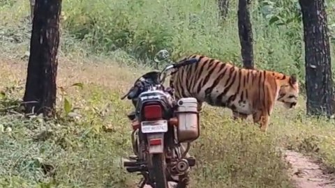 20251015 092945 News E 7 Live