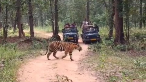 20251021 111935 News E 7 Live