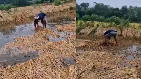 20251029 120215 News E 7 Live