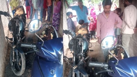 20251031 162305 News E 7 Live