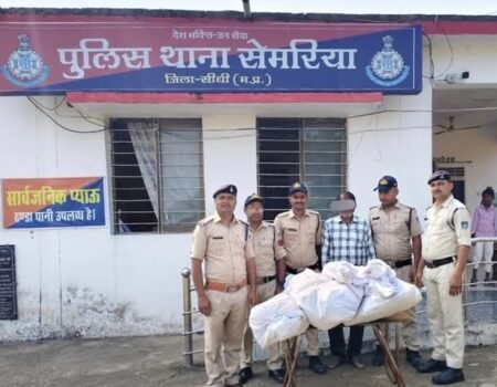 FB IMG 1760610602493 News E 7 Live