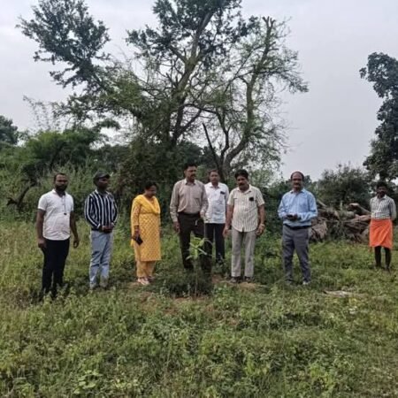 Sidhi news:“एक बगिया माँ के नाम” परियोजनाओं का किया गया निरीक्षण FB IMG 1761396970709 News E 7 Live