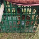 IMG 20251010 WA0048 News E 7 Live