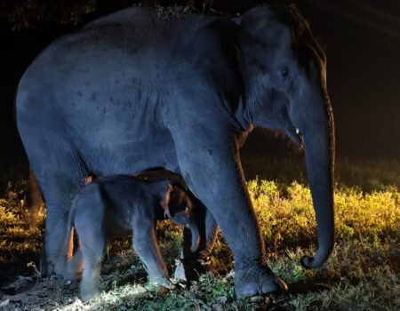 IMG 20251017 WA0002 News E 7 Live